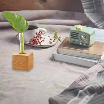 

1Pc Glass Hydroponic Flower Vase Chic Unique Special Glass Tube Flowerpot Glass Plant Tube Glass Tube Vase for Indoor Inside Hom