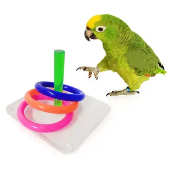 

Bird Educational Puzzle Toys Safe Acrylic Interactive Stacking Ring Toss Game Parrot Intelligence Training Chew Playing Tabletop