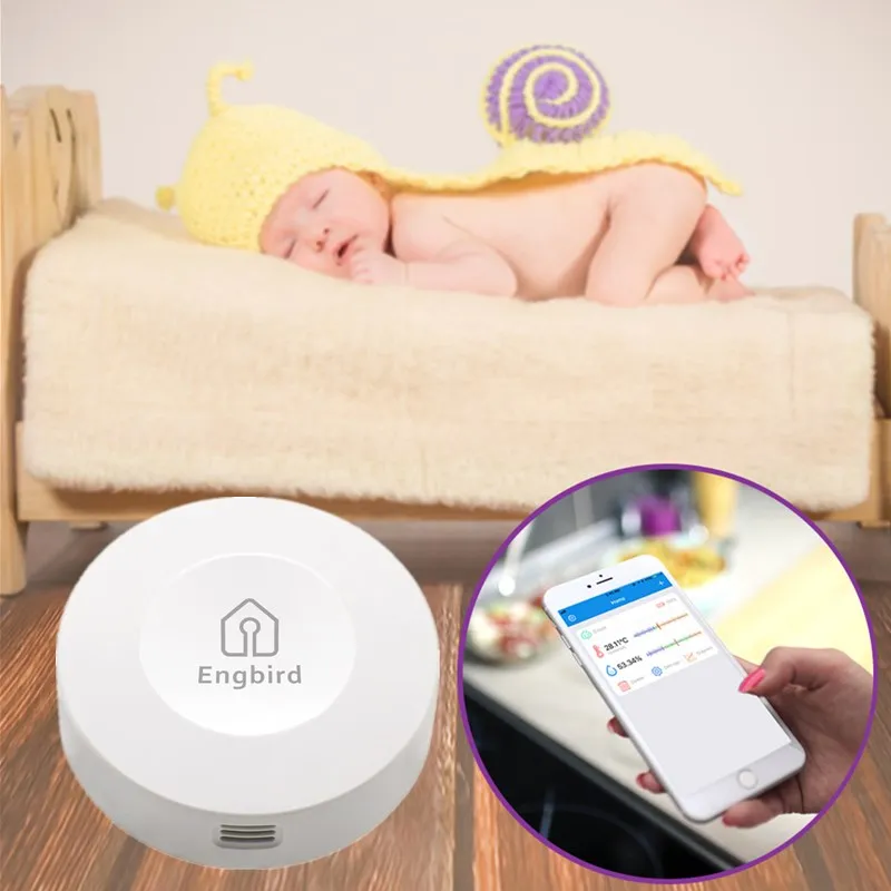 

High Accuracy IBS-TH1 Indoor Outdoor Round Thermometer Hygrometer thermometer humidity meter For Sauna Room Household pets