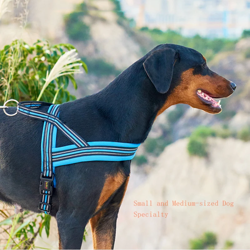 Durable Pet Dog Harness Dogs Training Vest For Small Medium Dogs