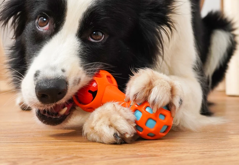 H456b89336bdc45ceb6b4200abde19f327