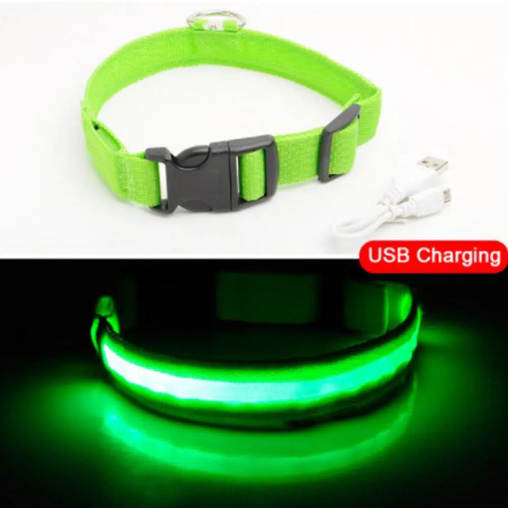 Светодиодный светящийся ошейник для собак с usb-зарядкой - Цвет: green