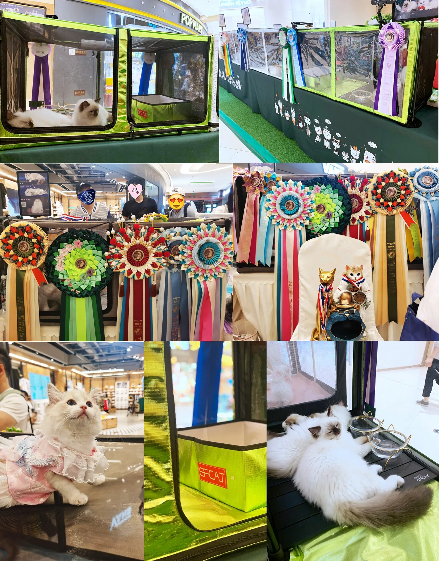 Cat Show Cage Competition Transparent 3D Display Shelter with Cat Hammock Folding Litter Box for Exhibition cat cage