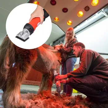 

EU/US/UK Plug 320W-500W Electric Horsehair Shears Professional Pet Trimmer Set 6 Speed Djust Quiet Trimmer For Various Animals