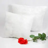 30*30/35*55/30*50/60*60 /40*40/45*45/40*60/65*65cm Solid Cushion Core Head Waist Pillow Inner PP Cotton Filler CushionFilling 2
