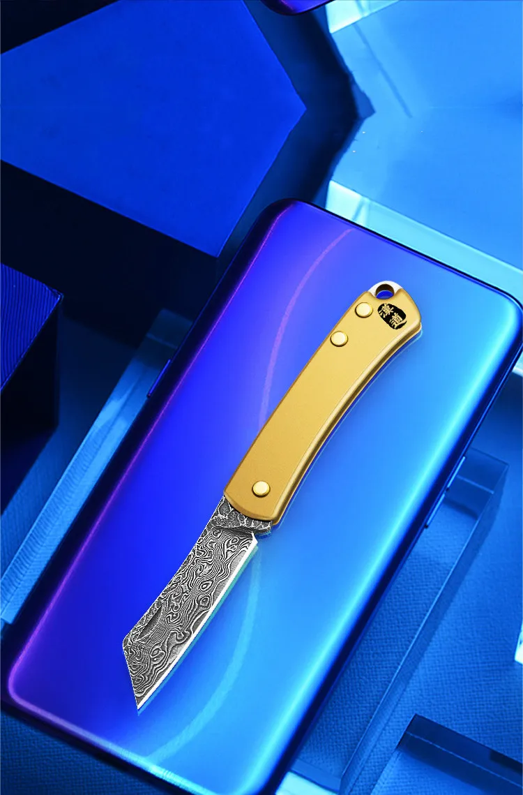Folding Knife Damascus Steel Knife Mini Fruit EDC Multi-function Portable Key Ring Pocket Knife