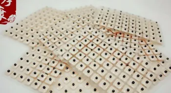 

Free Shipping 3000pairs Auricular Ear Auriculotherapy Acupuncture Therapy Ear Seeds Sticker