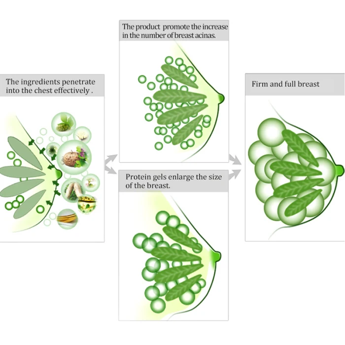 Массаж лучший размер груди уход за грудью крем для увеличения груди Продвижение женских гормонов бюстгальтер с подтяжкой укрепляющий массаж