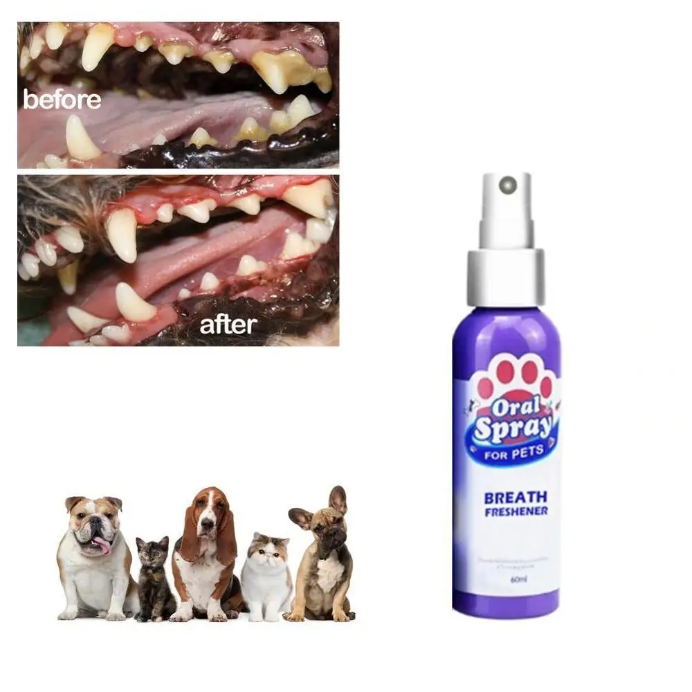 1 2 3pcs 60ml font b Pet b font Breath Freshener Via AliExpress Standard Shipping To