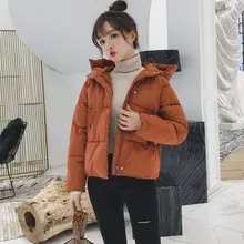 Winter Jacket Women Coat Warm Down Jacket Korean Style Plus Size Warm Jacket 2021 New Fashion Female Cotton Padded Coat Outwear
