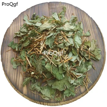 

ProQgf 300Gram A Set HERBA HOUTTUYNIAE tea