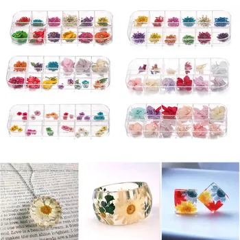 

36pcs/Box Real Dried Flowers Plants For Aromatherapy Candle Epoxy Resin Pendant Necklace Jewellery Making Craft DIY Accessories