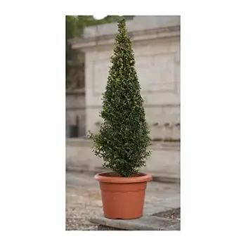 

Plastiken Terra round pot, Brown, 46x46x33 cm