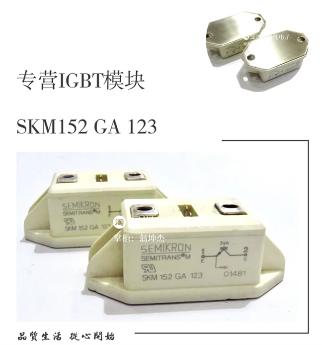 SKM51GB123D SKM50GB123D SKM152GA123 SKM40GD121D BSM101AR