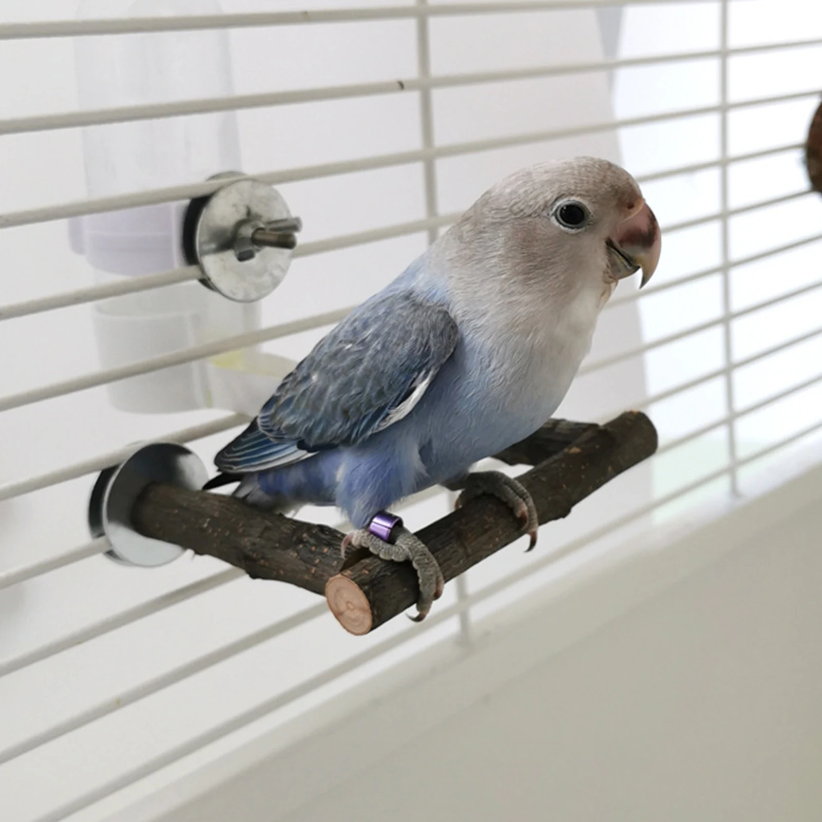 Eco-friendly Parrot Perches Cage Accessories Bird Perch Sticks Stable Structure Natural Wood Parrot Climbing Perches Stands