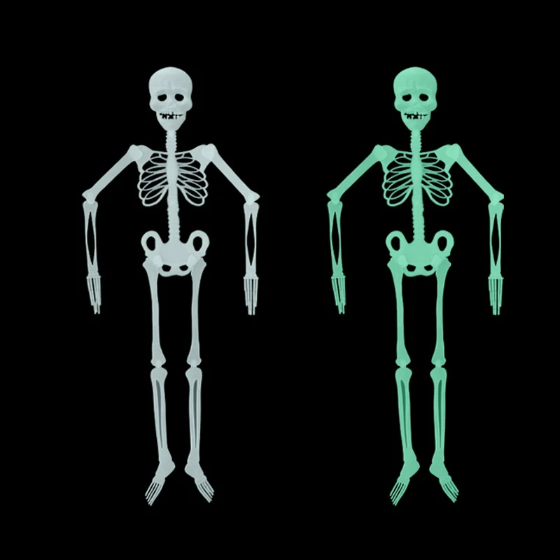 группы типа скелет. типы костей трубчатые губчатые плоские смешанные. классификация костей скелета таблица. торшер скелет. скелет человека презентация.
