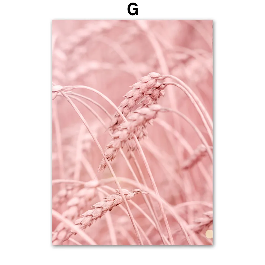 Pink-Sea-Big-Flower-Flamingo-Wheat-Ear-Wall-Art-Canvas-Painting-Nordic-Posters-And-Prints-Wall (9)