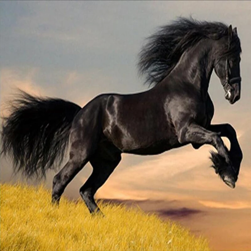5D Diy Full Diamond Painting Black Horse Square Embroidery Animals Picture Mosaic Rhinestone Home Decoration | Дом и сад