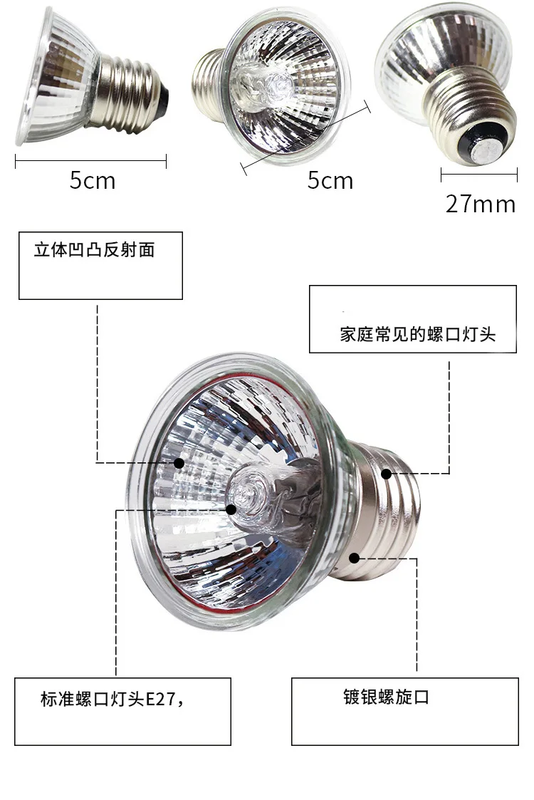 11033461720_51623344