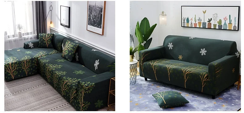 11697444223_1690726818