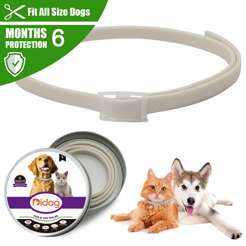 large crane dog collar training collar crane skeleton walk collar harness fancy necklace leash coffee animal accessory