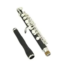Piccolo Fluit Piccolo Met C Sleutel Verzilverd Instrument Onderhoud