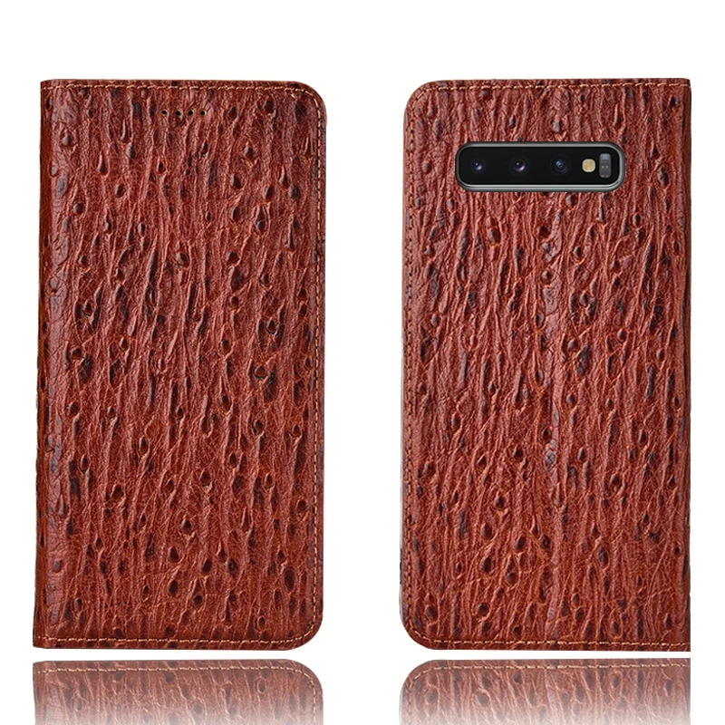 

Ostrich Pattern Genuine Leather Ultra Thin Card Slot Case For Samsung Galaxy S10 Plus/Samsung Galaxy S10X Magnetic Case Coque