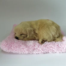 Золотой ретривер, мягкие игрушки, Имитация животных, кукла, плюшевая собака, детские игрушки, украшение дома, плюшевая кукла, милые детские игрушки, подарок на день рождения