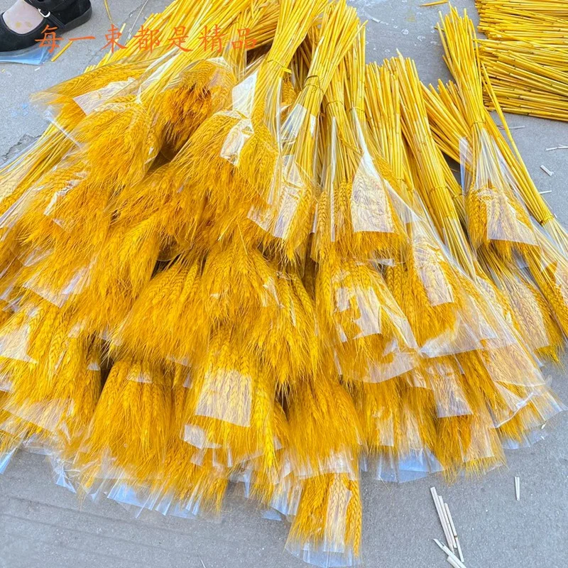 15990231038_179027579