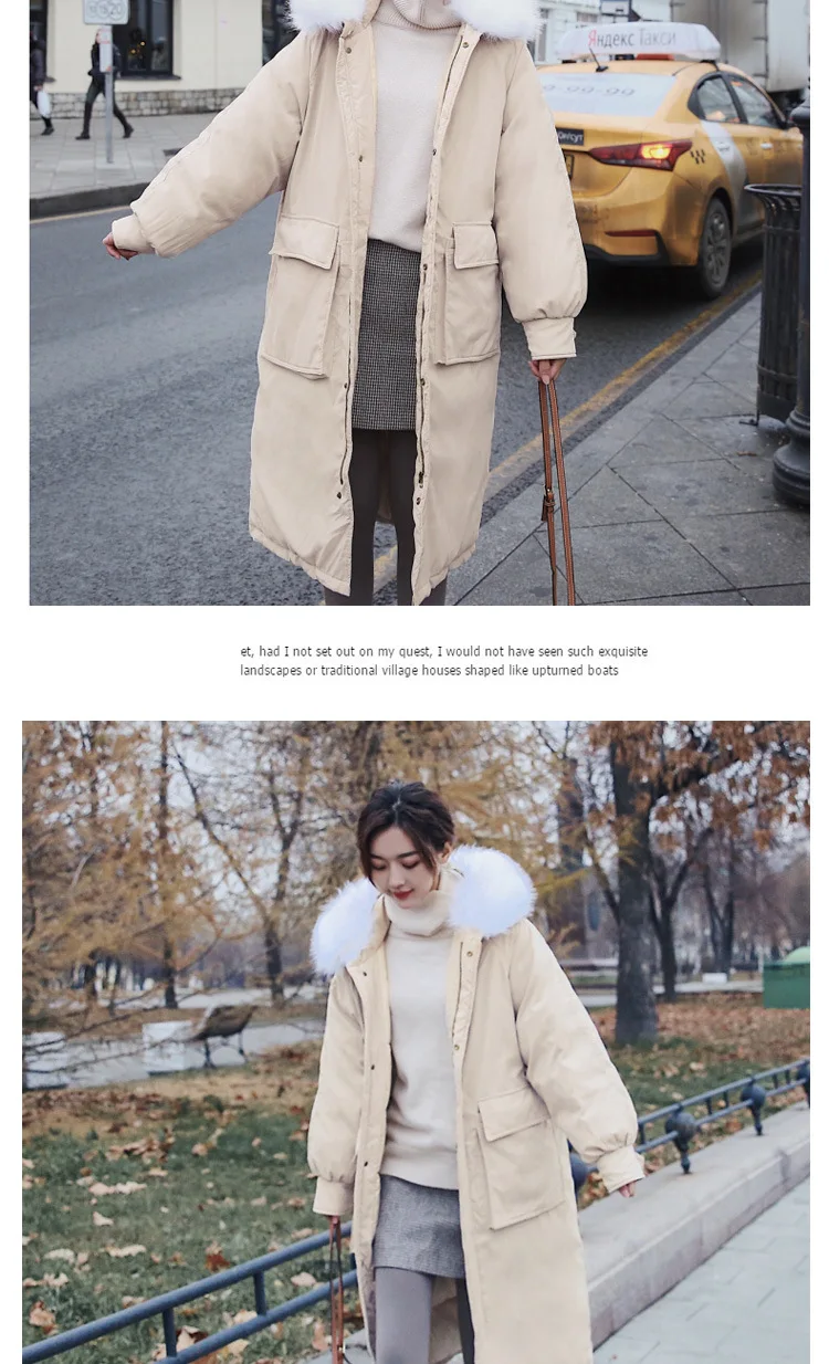 8821Cotton_15.jpg
