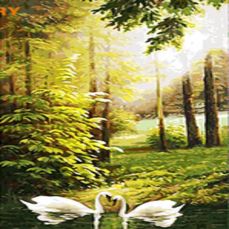 

Landscape Painting By Numbers Swan On Canvas For Adults Acrylic Paint DIY Kits Handmade For Drawing Coloring By Number Decor Art
