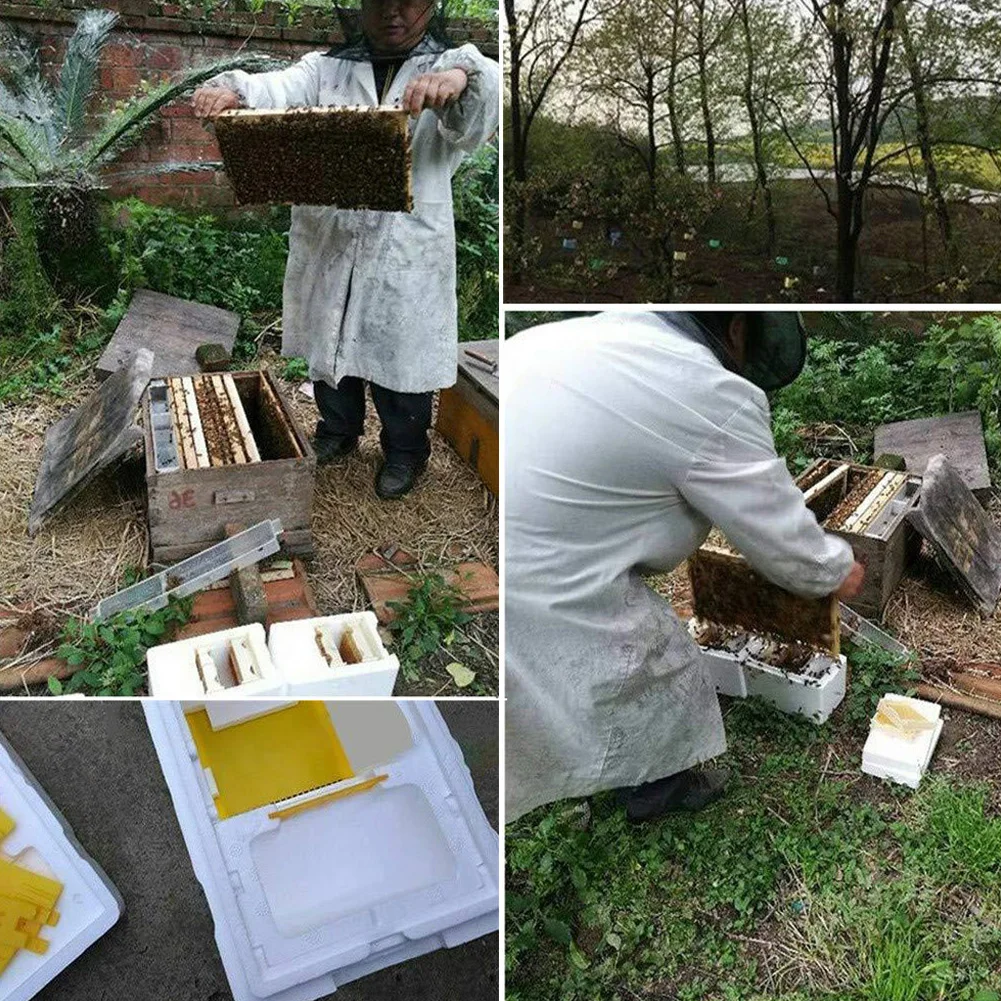 Урожай пчелиный улей Пчеловодство королевская коробка Pollination Box Инструмент пчеловода идеально подходит для полировки сада