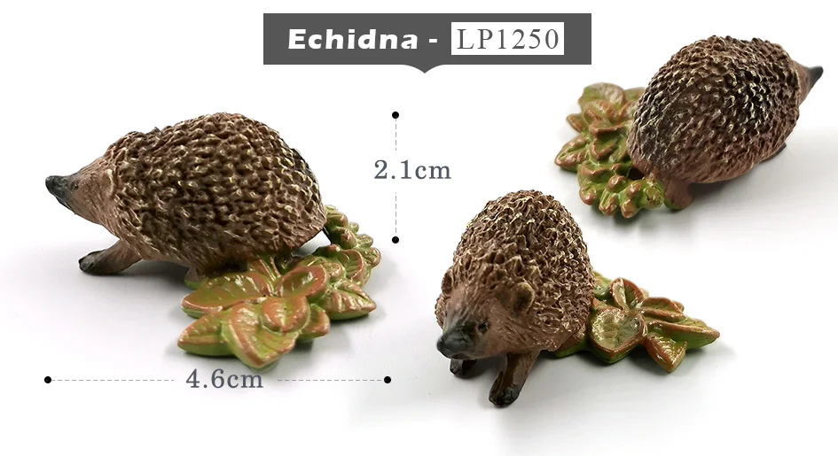 详情页-23款-黑冠猕猴-小树懒等_11