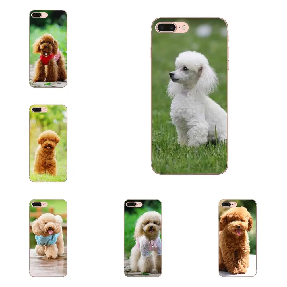 Чехол из ТПУ для Xiaomi Redmi 3 3S 4 4A 4X 5 6 6A 7 K20 Note 2 5A Plus Pro Toy Poodl Dog Classic | Мобильные телефоны