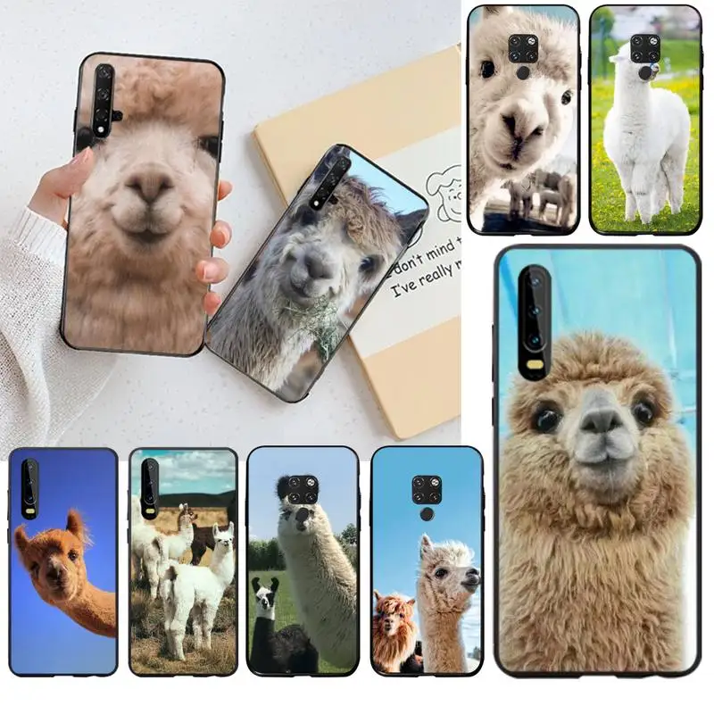 Чехол для телефона с ламой-ламой и альпаками Huawei P40 P30 P20 lite Pro Mate 30 20 P Smart 2020 prime |