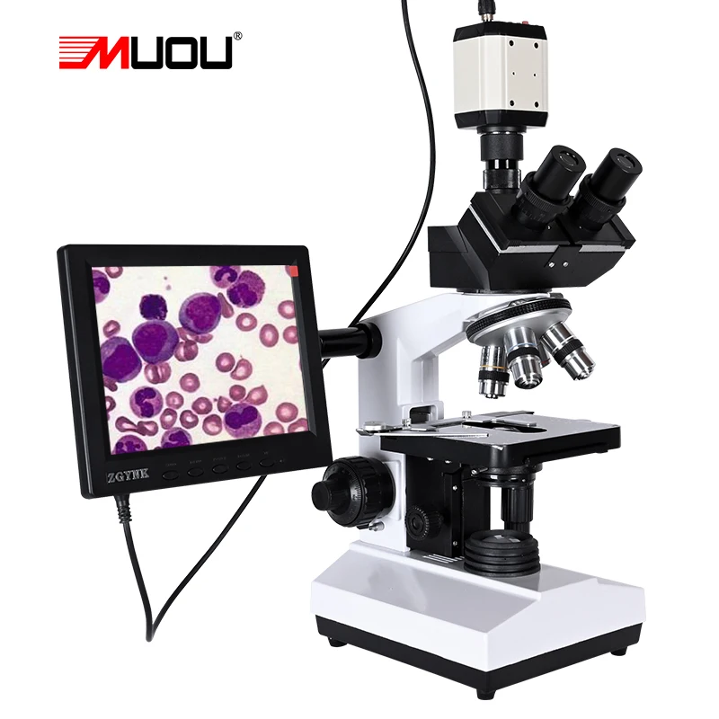 US $466.70 Professional Lab Biological HD Trinocular Microscope Zoom 2500X USB HDMI VGA CVBS Electronic Digital CCD Camera 8Inch LCD