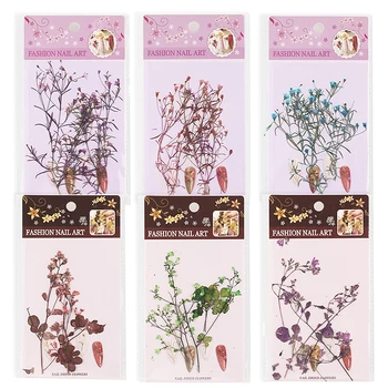 

Nail Art Small Flower Jewelry Diy Three-Dimensional Natural Dried Flower Japanese Style
