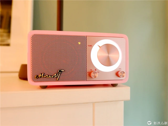 SANGEAN – enceinte Bluetooth sans fil, haut-parleur Bluetooth rose