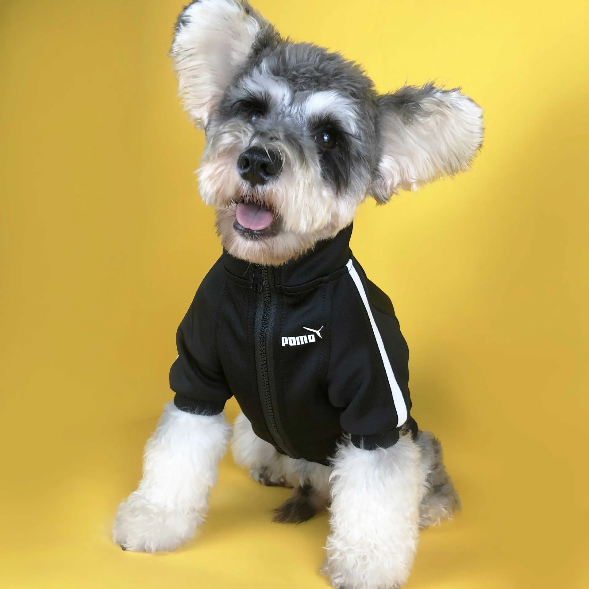 

Reflective Small Dogs Clothes French Bulldog Coat Fashion Chihuahua Sportswear for Puppy Cat Fashion Dog Apparel
