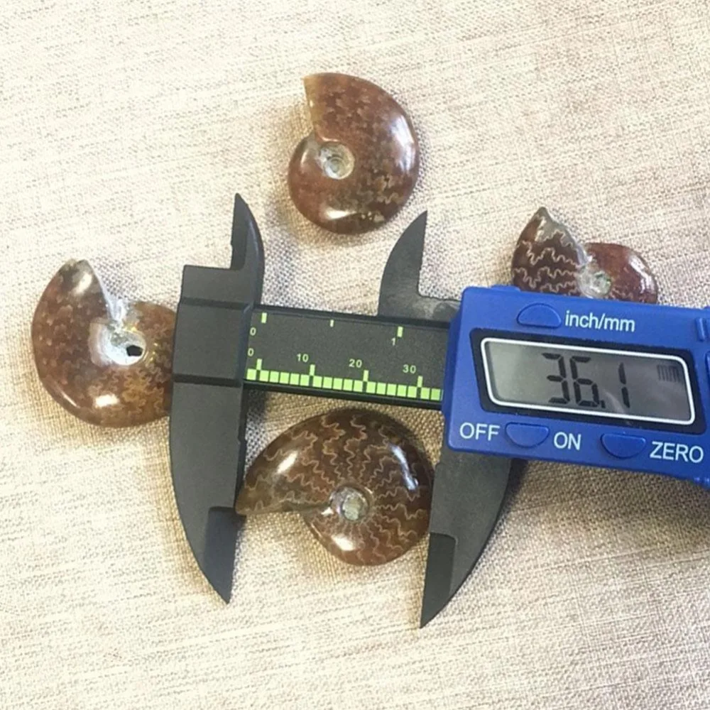 Natural Iridescent Ammonite Facet Specimen Fossil 2.6cm-4cm Madagascar Stones