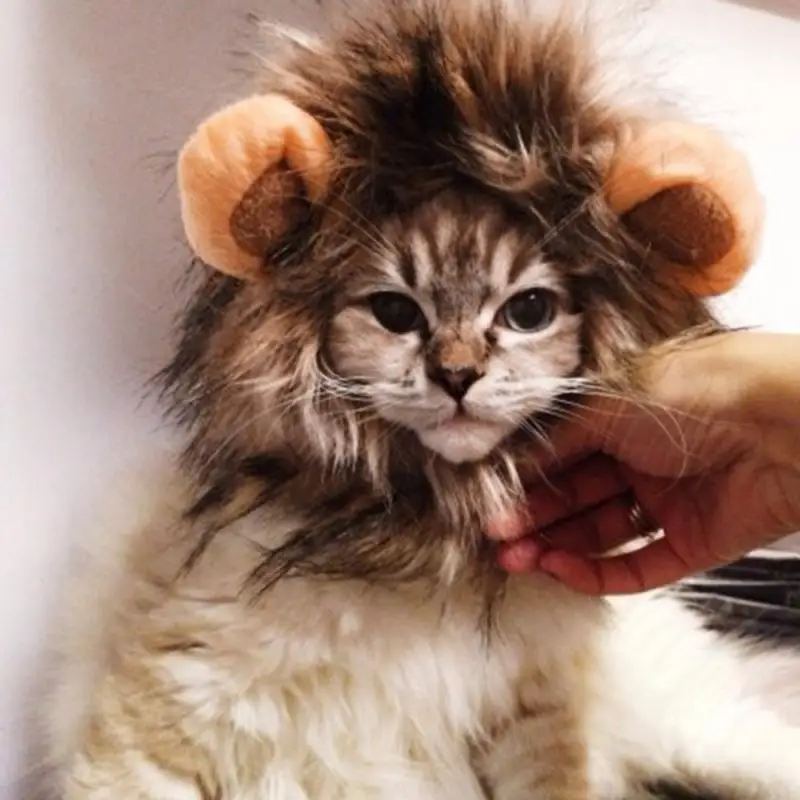 2020 Funny Cute Pet Cat Costumes Lion Mane Wig Cap Hat For Dog Halloween Christmas Decoration Clothes Dress Up | Дом и сад