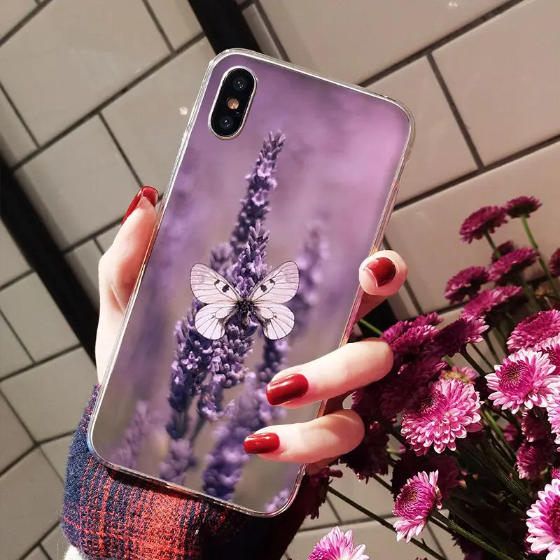Simple lavender Purple flowers