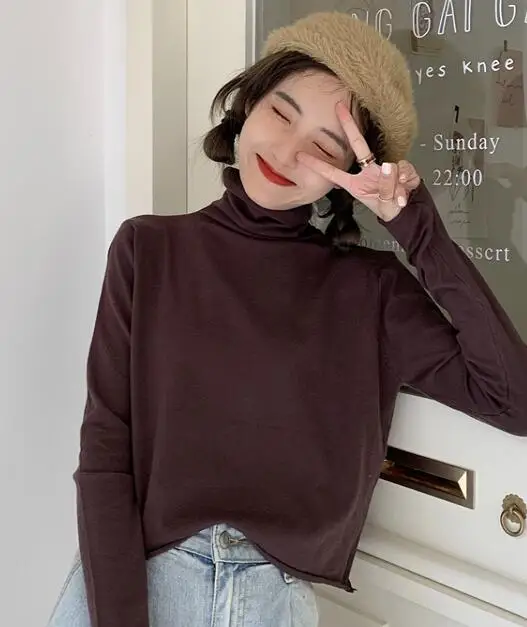 turtleneck coffee 8 цветов, Осенний корейский стиль, Одноцветный вязаный Топ, водолазка, длинный рукав, футболка, женские свободные футболки, женская рубашка(J9910 - Цвет: turtleneck coffee