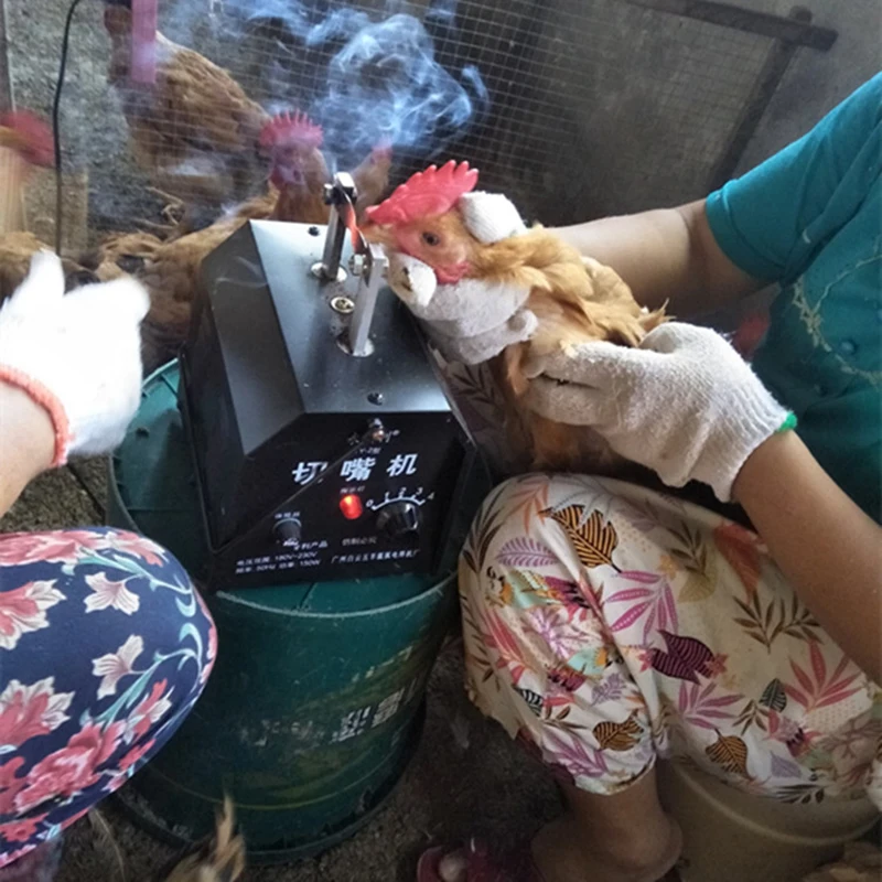 O1CN01o1Q58W1qOAytf4ETW_!!214255485