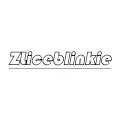 ZLiceblinkie Store