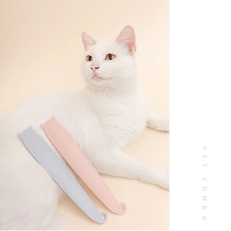 11660788060_49037481