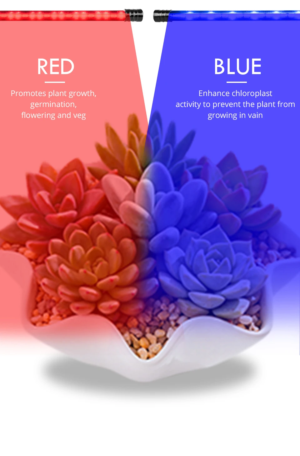 5V-USB-LED-Grow-Light-Full-Spectrum-Dimmable-Clip-on-Fitolampy-Timer-Phyto-Lamp-For-Plants-Flowers-Indoor-Grow-Tent-Box-Fitolamp_08