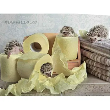 

DIY 5D Diamond Painting Cross Stitch Mosaic Pattern Rhinestone Diamond Embroidery Hedgehog and toilet paper Home Decor