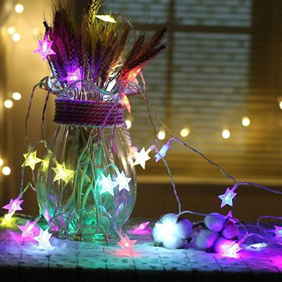 holiday light (5)