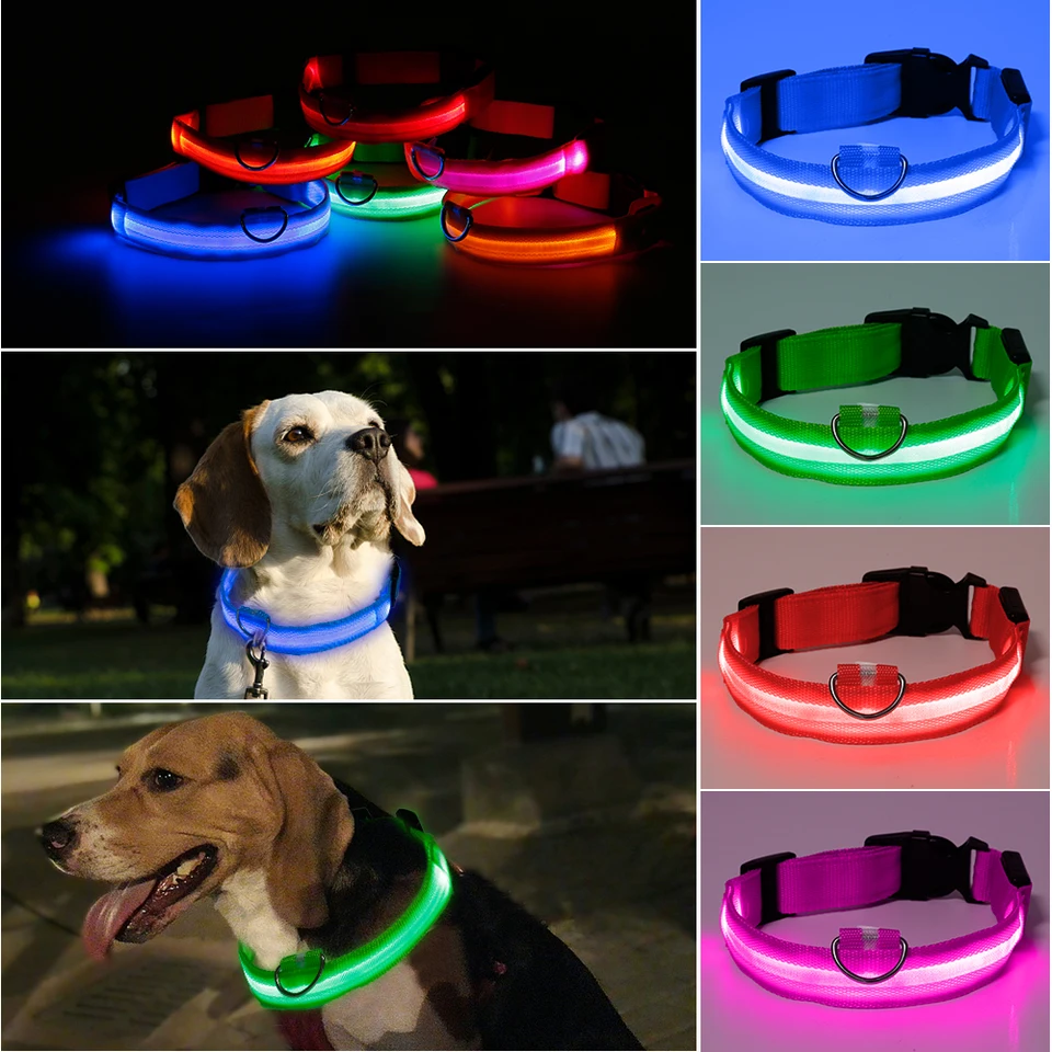 glow leash for dogs